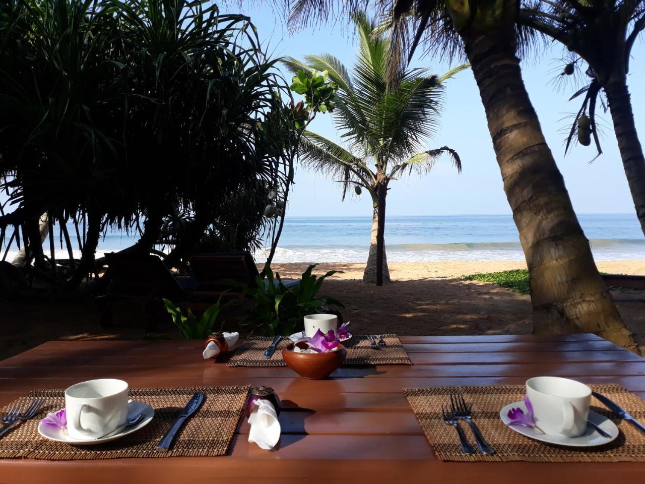 Arcade Beach Hotel Bentota Eksteriør billede